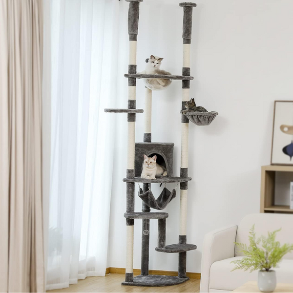 Finding the Purrfect Spot for Your Cat Tree
