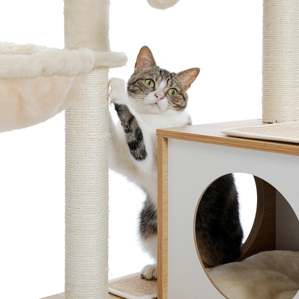 Are Cat Trees Good for Cats?