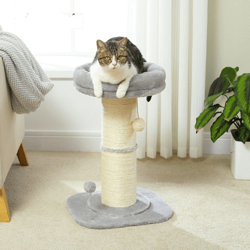 Cat Tree Palace - Cat Scratching Posts USA Cat Scratching Post Specialists | Cat Scratcher Trees & Poles ﻿23.6" Cat Scratching Post ﻿