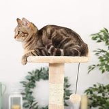 Cat Tree Palace - Cat Scratching Posts USA Cat Scratching Post Specialists | Cat Scratcher Trees & Poles 57.1" Cat Scratching Post / Tree / Pole - Beige Buy 57.1" Cat Scratching Post / Tree / Pole - Beige │ Cat Tree Palace