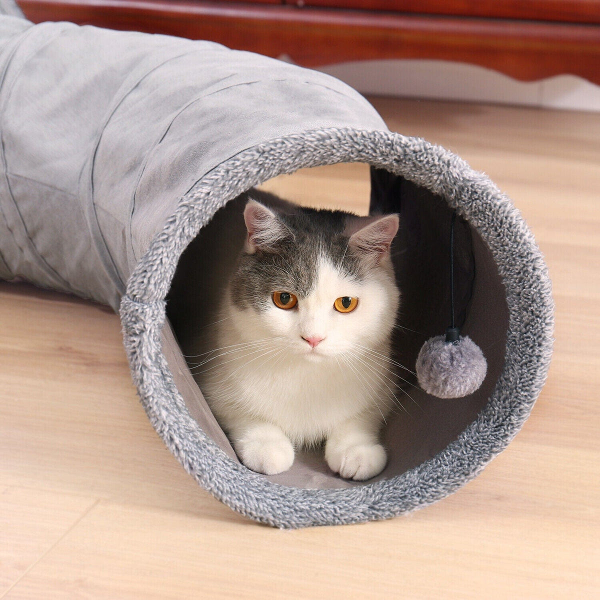 Collapsible Cat Tunnel – Cat Tree Palace